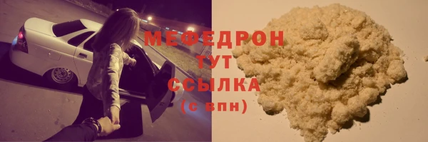 индика Дмитров